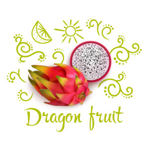 fruit du dragon_macrovector_@freepik